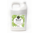 Age Old Kelp, 1 gal