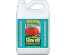 FoxFarm Grow Big Hydro&reg; Liquid Concentrate, 1 gal