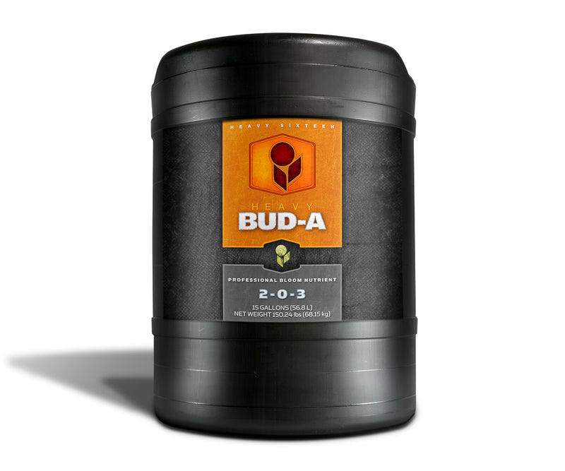 HEAVY 16 Bud A, 15 gal