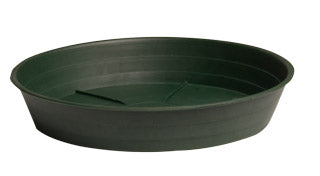 Premium Green Saucer 16", pack of 10