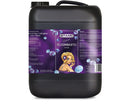 Bloombastic, 10L (2.6 Gal.)